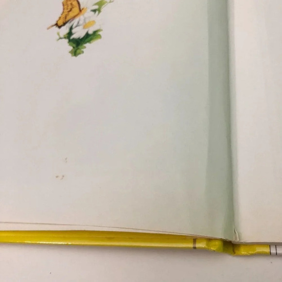 Vtg Peter Cottontails Surprise Greg Hildebrandt Book - Picture 10 of 16